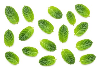 Scattered fresh mint leaves arranged on a plain white background, showing vibrant green color and leaf texture