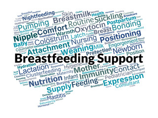Breastfeeding Support Word Cloud. Essential Concepts in Infant Nursing and Maternal Care
