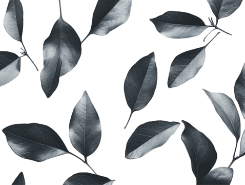 Isolated Black and White Leaves Pattern