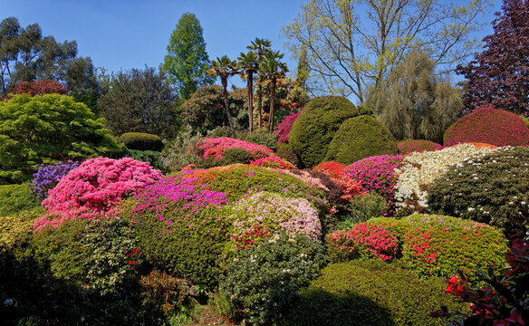 Riot in the Rock Garden at Leonardslee Gardens Horsham Sussex UK