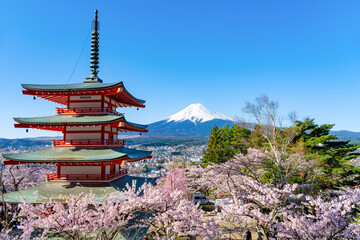 Fototapeta premium 山梨県富士吉田市 春の新倉山浅間公園 富士山と五重塔と桜