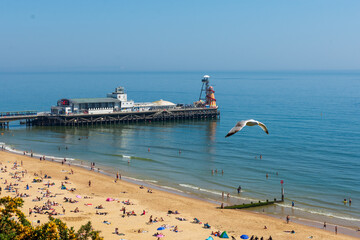 West Cliff Beach, Bournemouth, UK - April 30th 2025: Gull flying over people sunbathing on the...