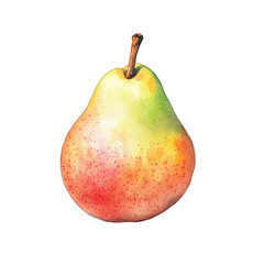 Watercolor pear fruit painting realistic isolated on white background art illustration