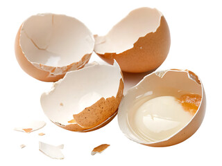 broken eggshell isolated on white background PNG. GENERATIVE AI