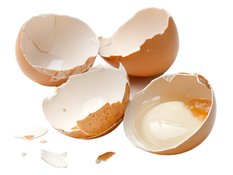 broken eggshell isolated on white background PNG. GENERATIVE AI