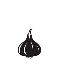 Black garlic bulb vector illustration food icon