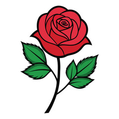 red rose vector illustration
