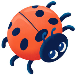 Cute Ladybug Insect