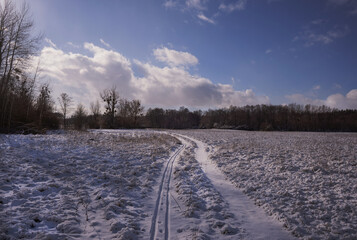 Obraz premium snow white winter landscape with colorful sky and trail with ski and animal tracks