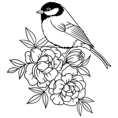 Bird on blooming peonies, handdrawn vector illustration in black ink line style
