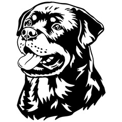 rottweiler dog portrait, handdrawn vector illustration