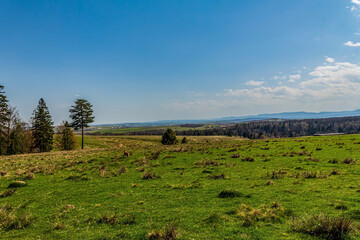Forest, Carpathians, Photos of nature - Europe, Eastern Europe, Romania 