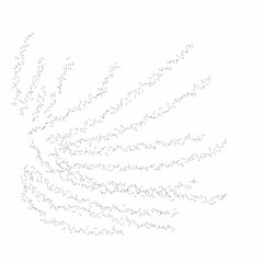 Fototapeta premium black and white abstract background vector