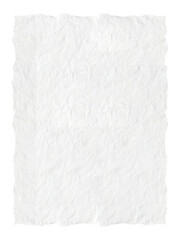 A plain white paper background with a subtle grainy texture, capturing the natural fiber details and slight imperfections for an organic, realistic appearance. Perfect for art mockups, presentations, 