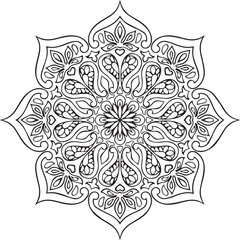 Beautiful flower art and mandala vector design