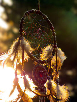 spider on a web
