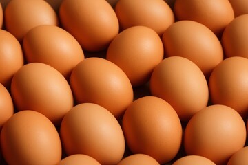 Fresh brown eggs arranged neatly.