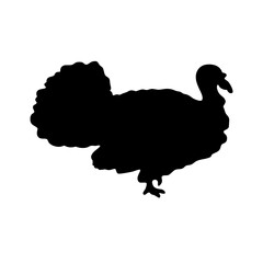 A bold black silhouette of a turkey against a stark white background