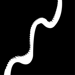 Pen-drawn wavy arrow, white, vector