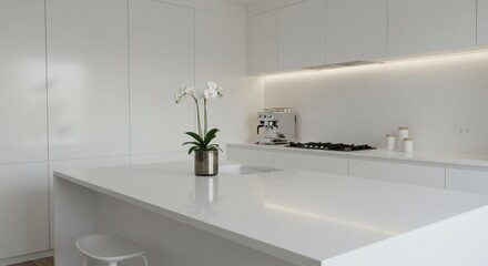 Minimalist Kitchen Corner View: Clean Countertops and Sleek Cabinets