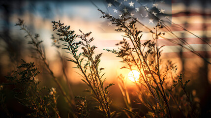 American Sunset Harmony: The silhouette of grasses is bathed in the warm, golden hues of a setting sun, an ethereal backdrop that artfully overlays with the stars and stripes, invoking patriotism.
