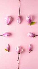 Pink magnolia blossoms on pastel background: graceful floral arrangement