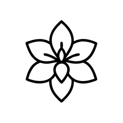 jasmine flower on transparent background for web and graphic design