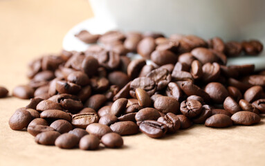 Close-up image of coffee beans.
