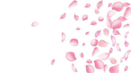 Rose petals or sakura flying petals, romantic background with realistic pink cherry flower petals flow or falling motion. Love, romance, floral spring season,cherry blossom © Sompong