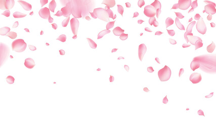 Rose petals or sakura flying petals, romantic background with realistic pink cherry flower petals flow or falling motion. Love, romance, floral spring season,cherry blossom