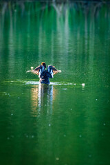 ducks in a lake