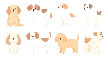 Adorable Dog Breeds Illustrations  Cute Puppy Drawings for Pet Lovers