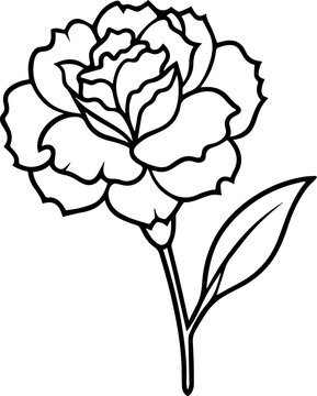 recommend clip art: carnation flower plant outline vector illustration coloring book page design