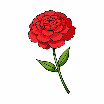 recommend clip art: carnation flower vector illustration