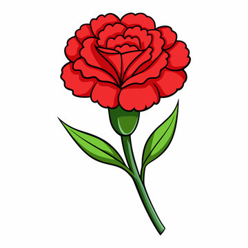 red carnation flower green stem leaves clip art preview