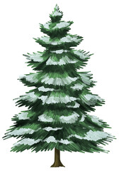 Snowy Pine Tree Illustration