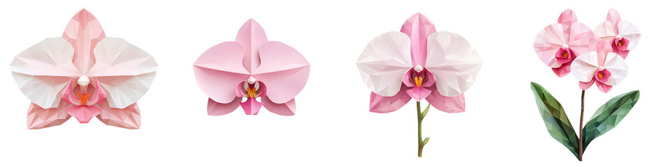 Fototapeta premium Delicate pink and white orchid flowers