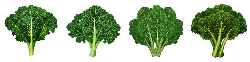 Assortment of fresh leafy green vegetables