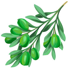 Naklejka premium Green Olive Branch Illustration
