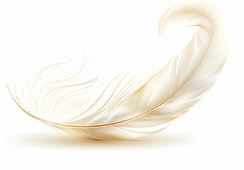Obraz premium Delikatne jasne pióro unoszące się w powietrzu na białym tle – symbol lekkości, czystości i spokoju