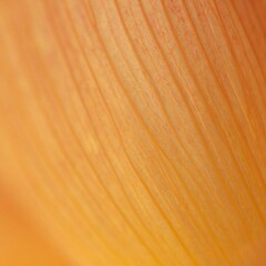 Naklejka premium beautiful detailed abstract flower petal close up seamless wallpaper background, graphic resource