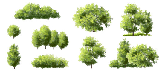  Vector watercolor green  tree or forest side view isolated on white background for landscape and architecture drawing,elements for environment or and garden,Shrub for section
