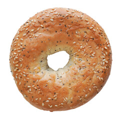 german multi-grain bagel isolated and cut out