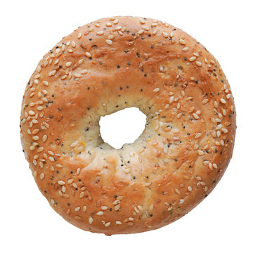 german multi-grain bagel isolated and cut out