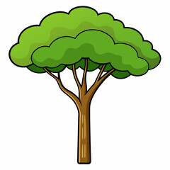 green tree isolated on white