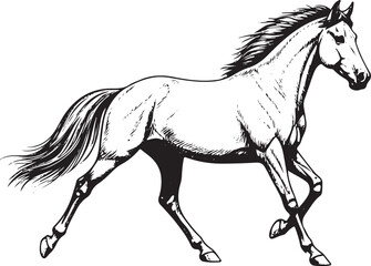Race horse sketch vector transparent background