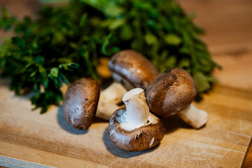 mushrooms on a plate