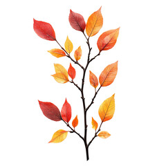 Autumnal branch with vibrant leaves in shades of red, orange, and yellow.  Intricate details of the leaves and branches