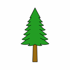 christmas tree isolated on white