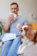 close up of dog and man sneezing and holding tissues near nose because of dog hair allergy. health...